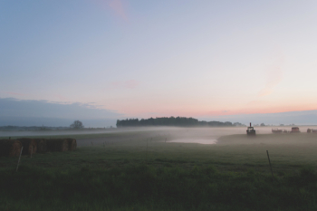 Evening mist 3 Evening mist 3
