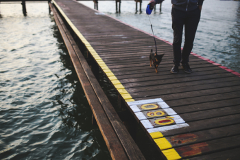 Evening walk with the dog along the pier Evening walk with the dog along the pier