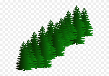 Evergreen Cluster Clip Art - Evergreen Trees Clipart