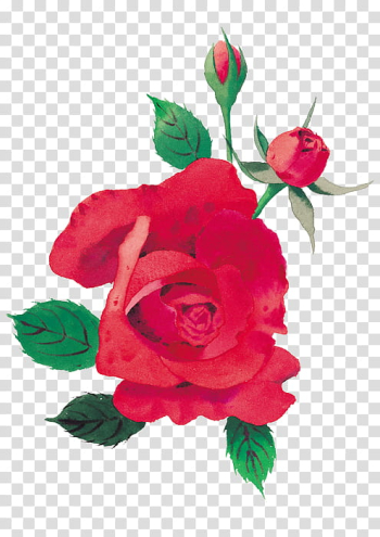 Every Rose Has Its Thorn, red rose illustration transparent background PNG clipart Every Rose Has Its Thorn, red rose illustration transparent background PNG clipart