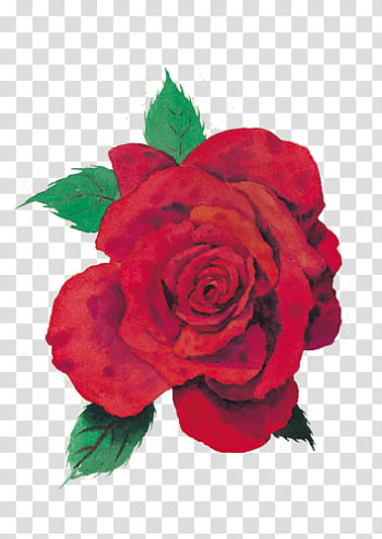 Every Rose Has Its Thorn, red rose illustration transparent background PNG clipart Every Rose Has Its Thorn, red rose illustration transparent background PNG clipart