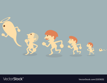 Evolution vector image Evolution vector image