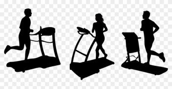 Exercise Equipment Physical Exercise Fitness Centre - Gym Equipment Vector