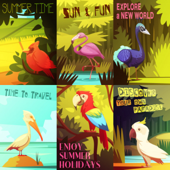 Exotic colorful birds 6 posters composition with cockatoo parrot  pelican and flamingo