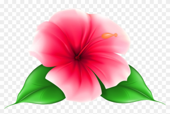 Exotic Flower Png Clip Art Image - Tropical Flowers With Transparent Background