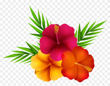 Exotic Flowers Png Clip Art Image - Transparent Background Tropical Flower Png