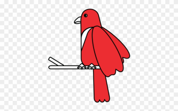 Exotic Natural Bird - Exotic Natural Bird Exotic Natural Bird - Exotic Natural Bird
