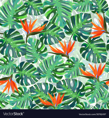 exotic tropical pattern with monstera leaves