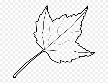 Explore Autumn, Clipart Black And White, And More - Outline Image Of Leaf