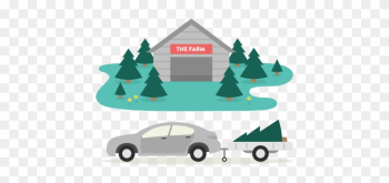 Explore Our Christmas Tree Farm - Christmas Tree Explore Our Christmas Tree Farm - Christmas Tree
