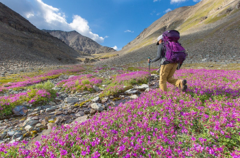 Exploring the alpine terrain. Original | Free Photo - rawpixel