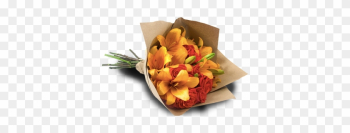 Extreme Passion Orange - Rose Extreme Passion Orange - Rose