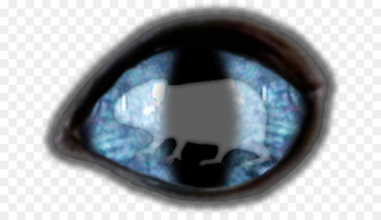 Eye Eye