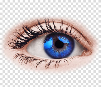 Eye , Eye transparent background PNG clipart