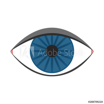 Eye icon Eye icon