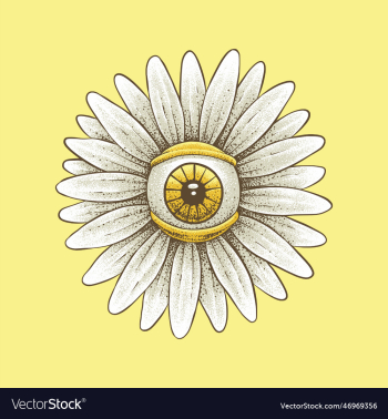 eye of daisy flower