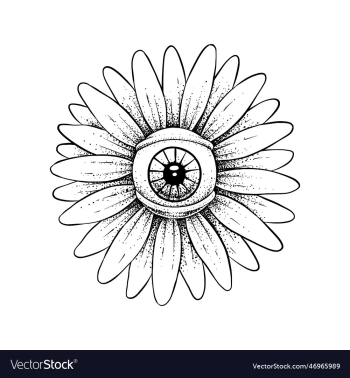 eye of daisy flower black and white color