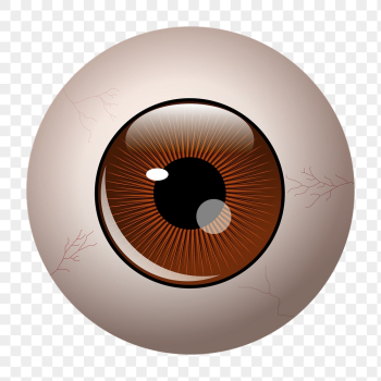 Eyeball png sticker, cartoon illustration | Free PNG - rawpixel