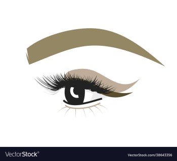 eyebrow and eye with eyelashes makeup for beauty eyebrow and eye with eyelashes makeup for beauty