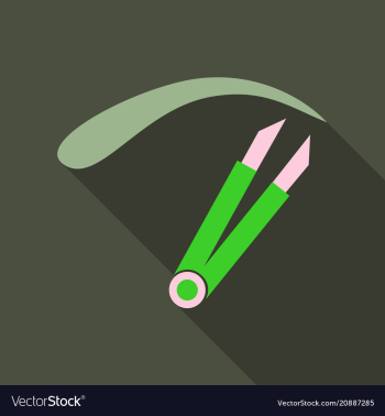 Eyebrow tweezers icon flat of eyebrow tweezers vector image Eyebrow tweezers icon flat of eyebrow tweezers vector image
