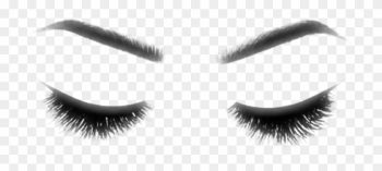 Eyebrows Eyeliner Makeup Girls Eyes - Eye Liner Eyebrows Eyeliner Makeup Girls Eyes - Eye Liner