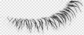 Eyelash extensions Line art Eyebrow, design transparent background PNG clipart Eyelash extensions Line art Eyebrow, design transparent background PNG clipart