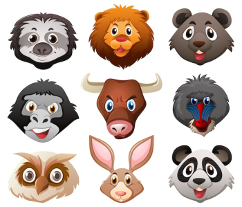 Faces of wild animals Faces of wild animals