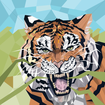 Faceted tiger Faceted tiger