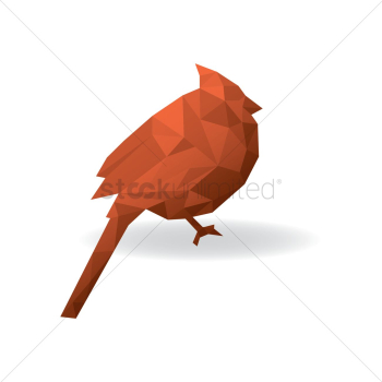 Faceted woodpecker Faceted woodpecker