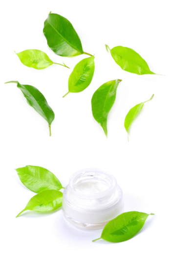 Facial cream - Close-up of a face cream with  green leafs on top