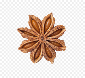 Facing heaven pepper Spice Star anise Food - Star anise spice 