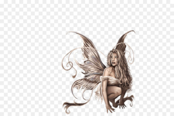Fairy Fairy
