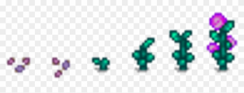 Fairy Rose - Stardew Valley Fairy Rose Fairy Rose - Stardew Valley Fairy Rose