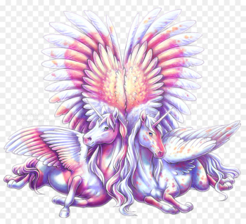 Fairy Winged unicorn Horse Pegasus - Fairy Fairy Winged unicorn Horse Pegasus - Fairy