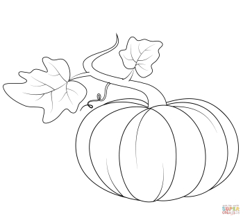 Fall Color Sheets Food Clipart Squash & Clip Art Images #29206 ...