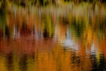 Fall Colors Fall Colors