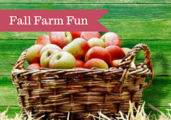 Fall Farm Fun Near Chester County