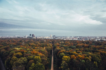 Fall Forest And City View Fall Forest And City View
