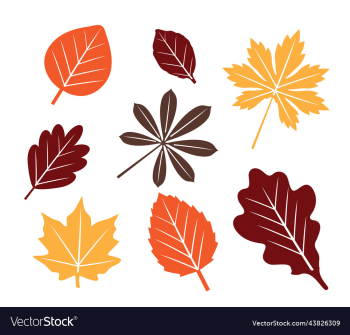 fall leaves fall leaves