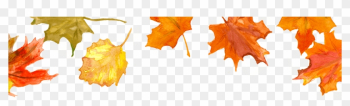 Fall Leaves - Autumn Leaf Color Fall Leaves - Autumn Leaf Color