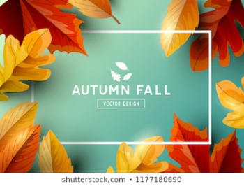 Fall Leaves Background Images, Stock Photos & Vectors | Shutterstock