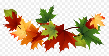 Fall Leaves Clip Art Free Fall Transparent Leaves - Maple Leaf Fall Leaves Clip Art Free Fall Transparent Leaves - Maple Leaf