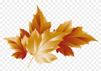 Fall Transparent Leaves Decor Picture - Maple Leaf Fall Transparent Leaves Decor Picture - Maple Leaf