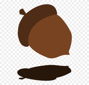 Fall Tree Acorn Shadow Falling Harvest Autumn - Acorn Falling From Trees Gif Fall Tree Acorn Shadow Falling Harvest Autumn - Acorn Falling From Trees Gif