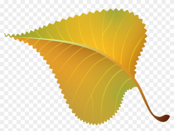 Fall Yellow Leaf Png Clipart Image - 40th Class Reunion Fall Yellow Leaf Png Clipart Image - 40th Class Reunion