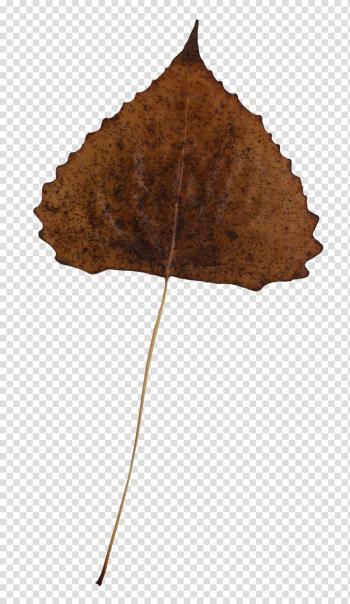 Fallen Leaves s, brown leaf transparent background PNG clipart