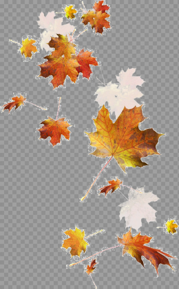 Falling Autumn Leaves PNG Image