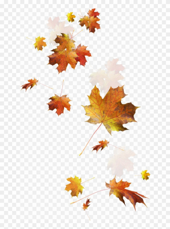 Falling Autumn Leaves Png Image - Autumn Leaves Falling Png