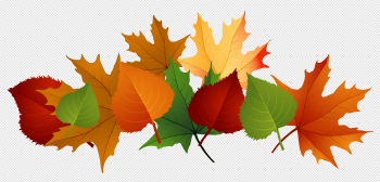 Falling Autumn Leaves PNG Photo