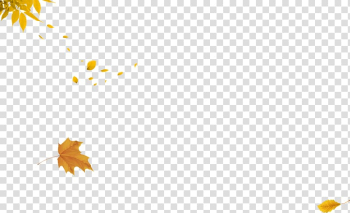 Falling autumn leaves transparent background PNG clipart